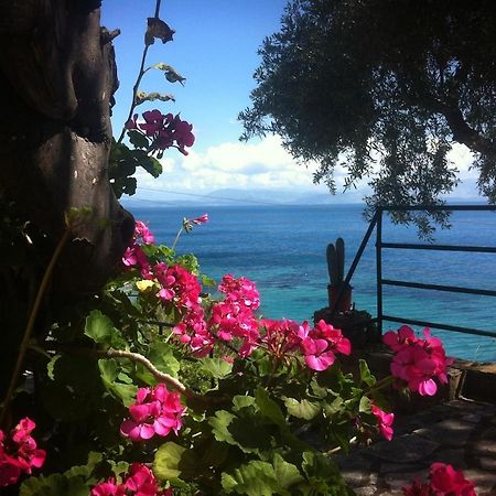 Villa Fourtuna Apartment Agios Ioannis Peristerion Dış mekan fotoğraf