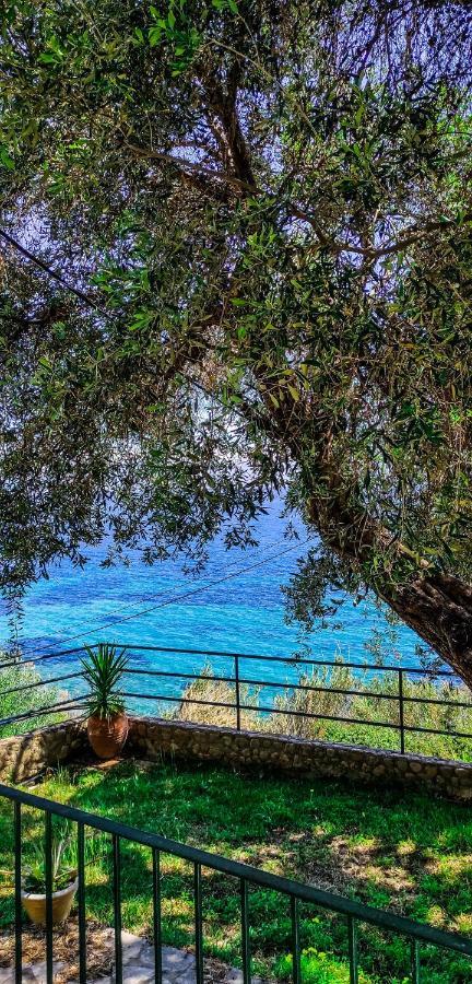 Villa Fourtuna Apartment Agios Ioannis Peristerion Dış mekan fotoğraf