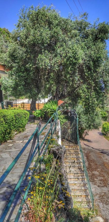 Villa Fourtuna Apartment Agios Ioannis Peristerion Dış mekan fotoğraf