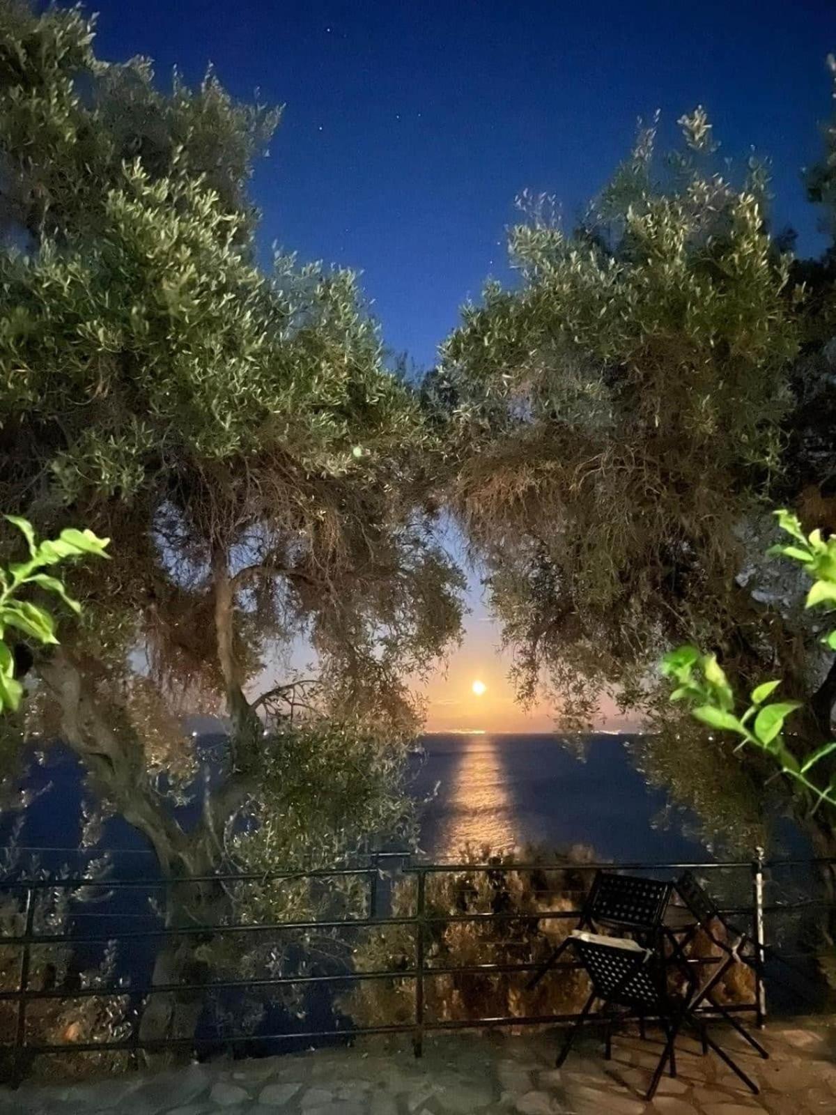 Villa Fourtuna Apartment Agios Ioannis Peristerion Dış mekan fotoğraf