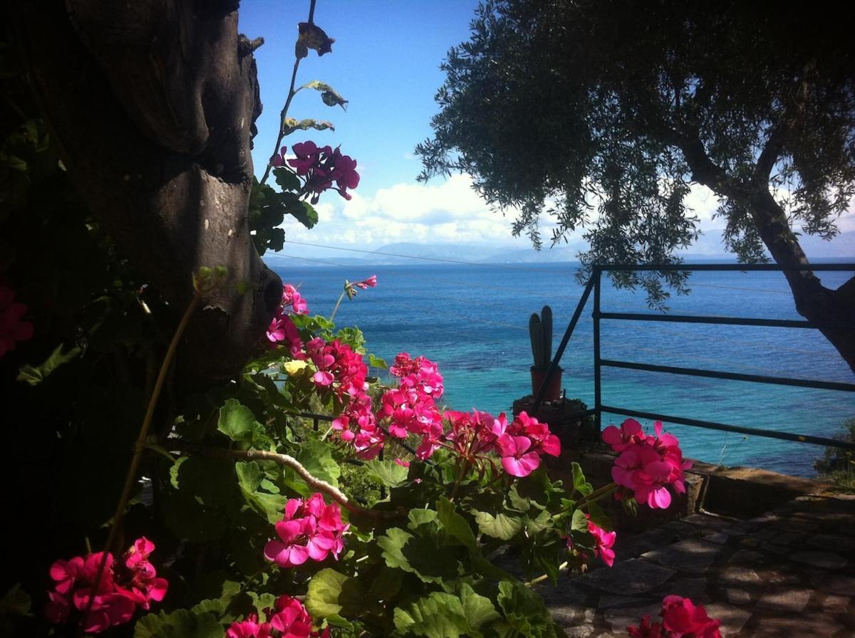 Villa Fourtuna Apartment Agios Ioannis Peristerion Dış mekan fotoğraf