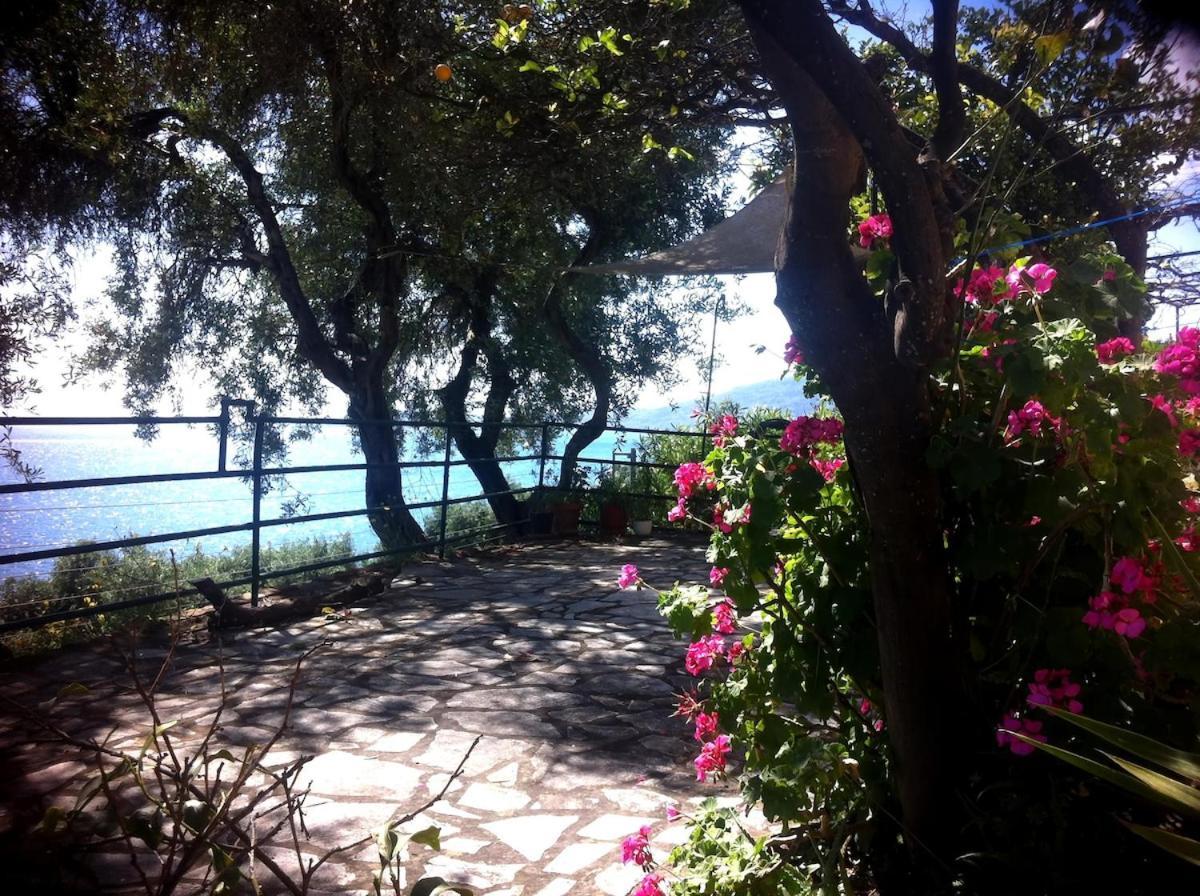 Villa Fourtuna Apartment Agios Ioannis Peristerion Dış mekan fotoğraf