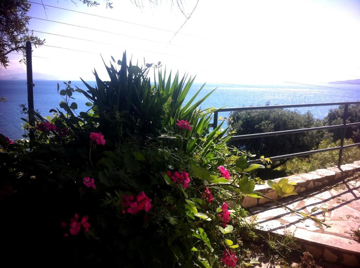 Villa Fourtuna Apartment Agios Ioannis Peristerion Dış mekan fotoğraf