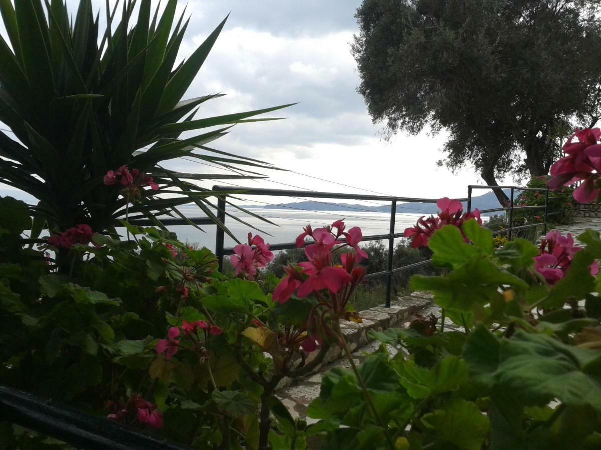 Villa Fourtuna Apartment Agios Ioannis Peristerion Dış mekan fotoğraf