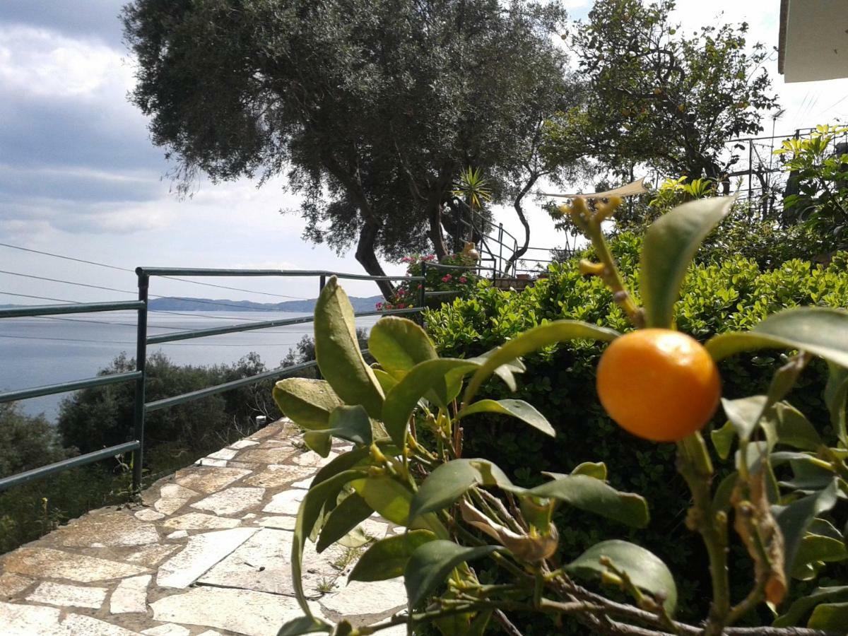Villa Fourtuna Apartment Agios Ioannis Peristerion Dış mekan fotoğraf