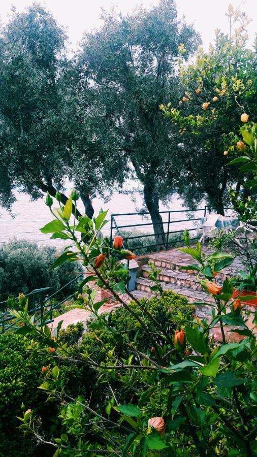 Villa Fourtuna Apartment Agios Ioannis Peristerion Dış mekan fotoğraf