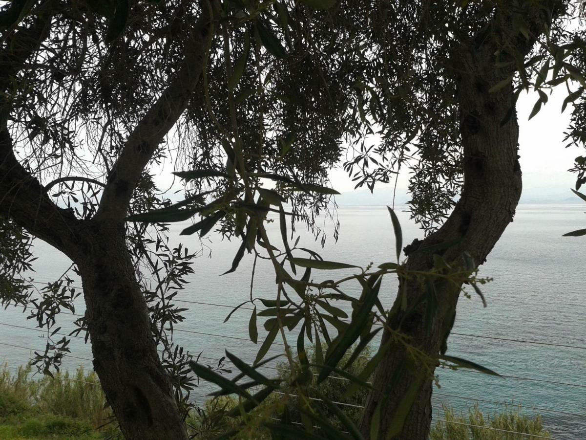 Villa Fourtuna Apartment Agios Ioannis Peristerion Dış mekan fotoğraf